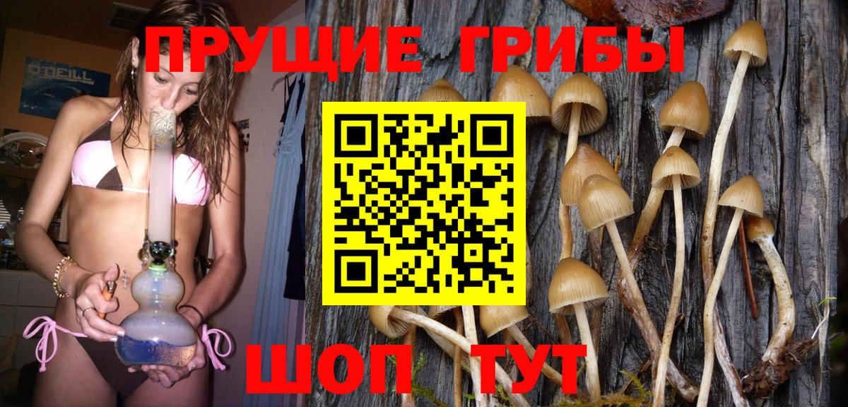 Псилоцибиновые грибы GOLDEN TEACHER  Вход с VPN  Галлюциногенные грибы Psilocybe  Сатка 