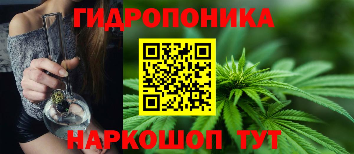 Канабис SATIVA & INDICA Сатка